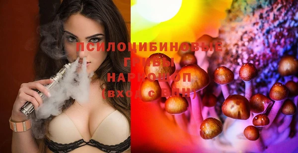 mdpv Михайловск
