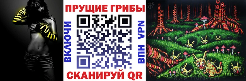 Псилоцибиновые грибы Psilocybe  наркота  OMG онион  Одинцово 