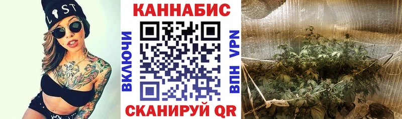 МАРИХУАНА сатива  где продают   Одинцово 